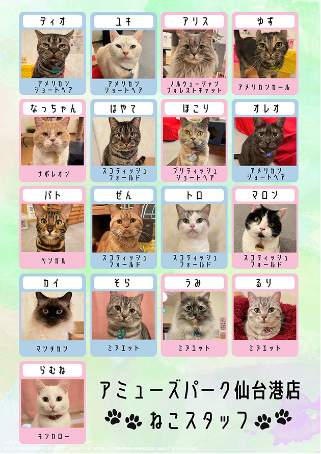 猫カフェ アミューズパーク仙台港店
