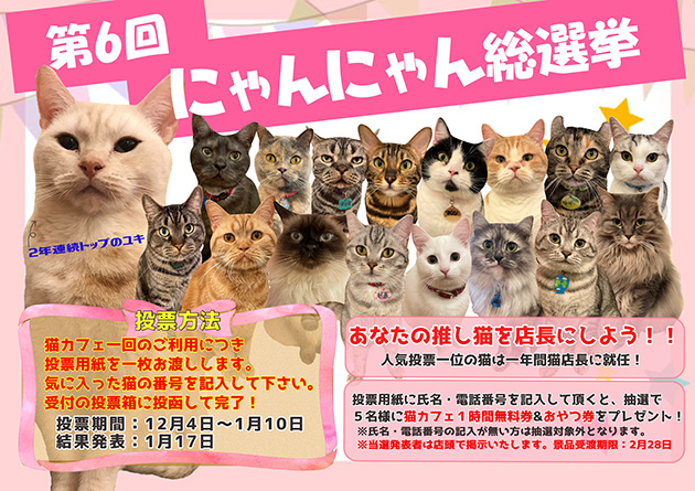 猫カフェ アミューズパーク仙台港店