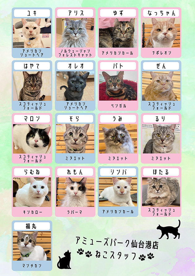猫カフェ
