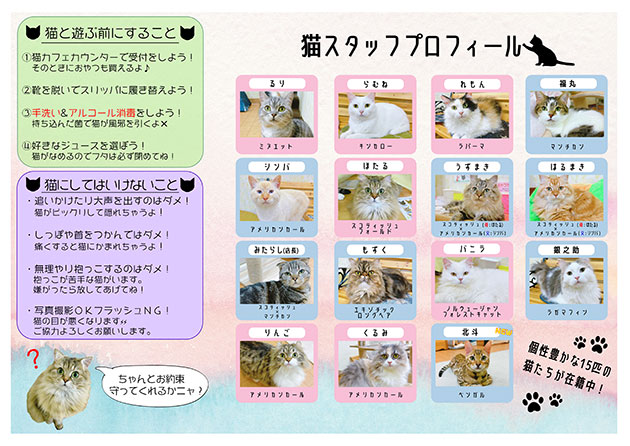 猫カフェ
